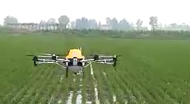 丁冰：無人機植保創業路上的追夢人